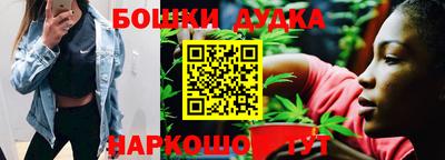 индика Кинель
