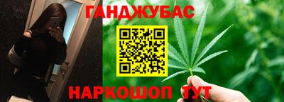 индика Кинель