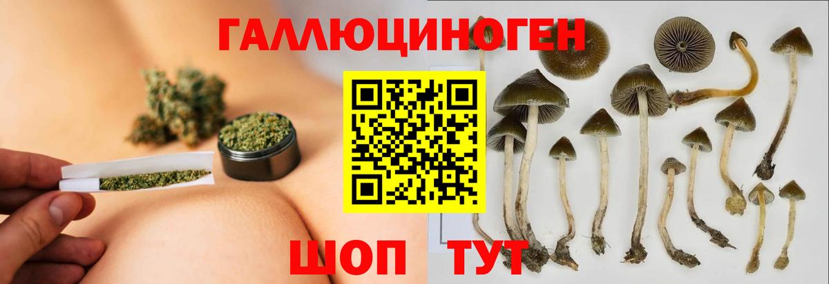 Галлюциногенные грибы GOLDEN TEACHER  Вход с VPN  Южноуральск 